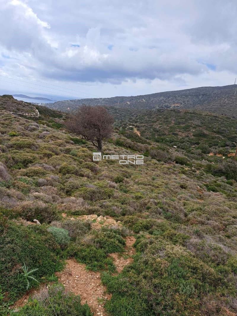 Parcel in Ano Aprovato, Andros — Photo 5 of 14