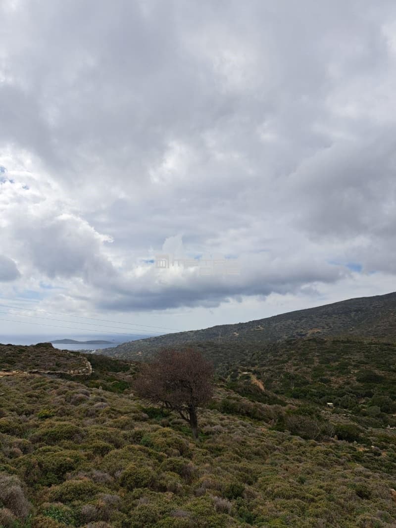 Parcel in Ano Aprovato, Andros — Photo 6 of 14