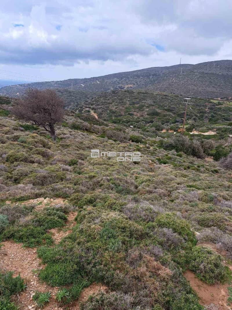 Parcel in Ano Aprovato, Andros — Photo 7 of 14