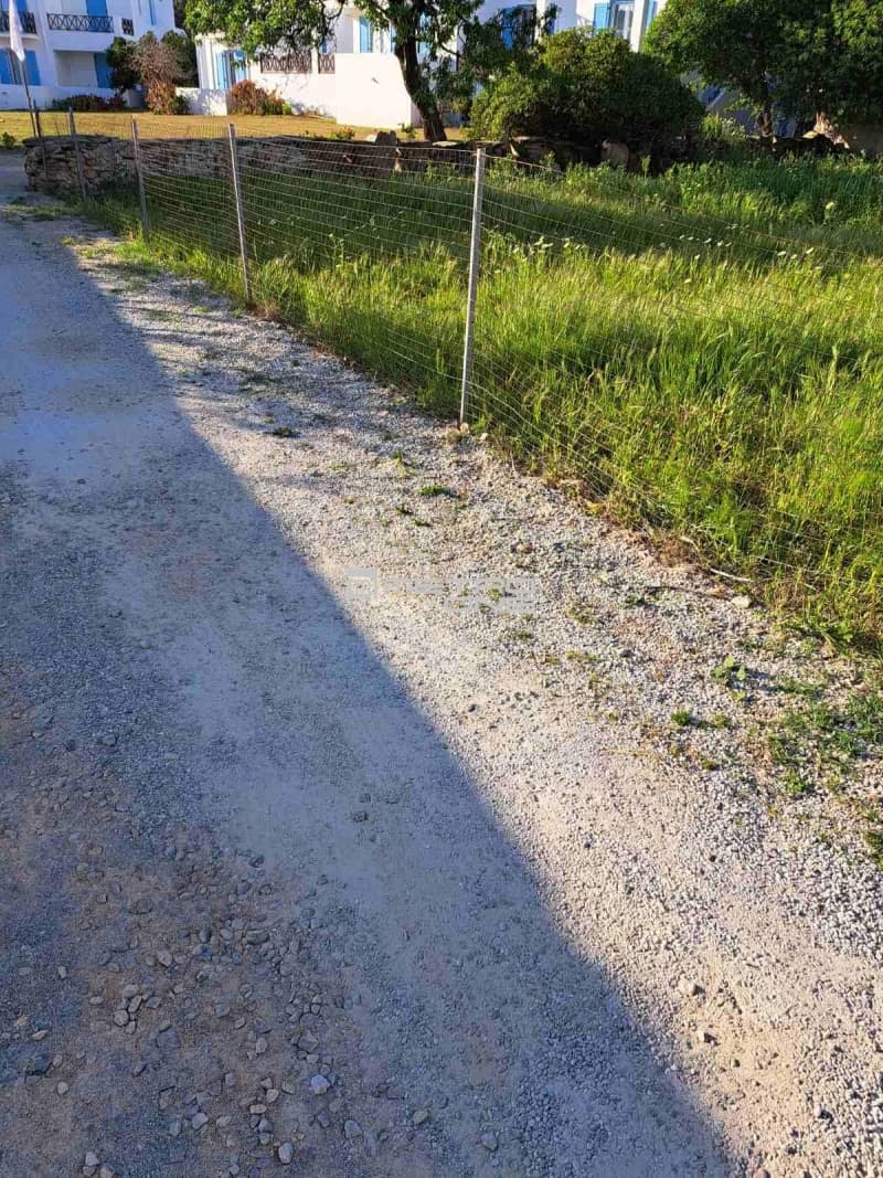 Οικόπεδο στην Γαύριο, Άνδρος — Φωτογραφία 3 από 14