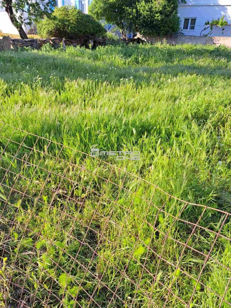 Οικόπεδο στην Γαύριο, Άνδρος — Φωτογραφία 7 από 14
