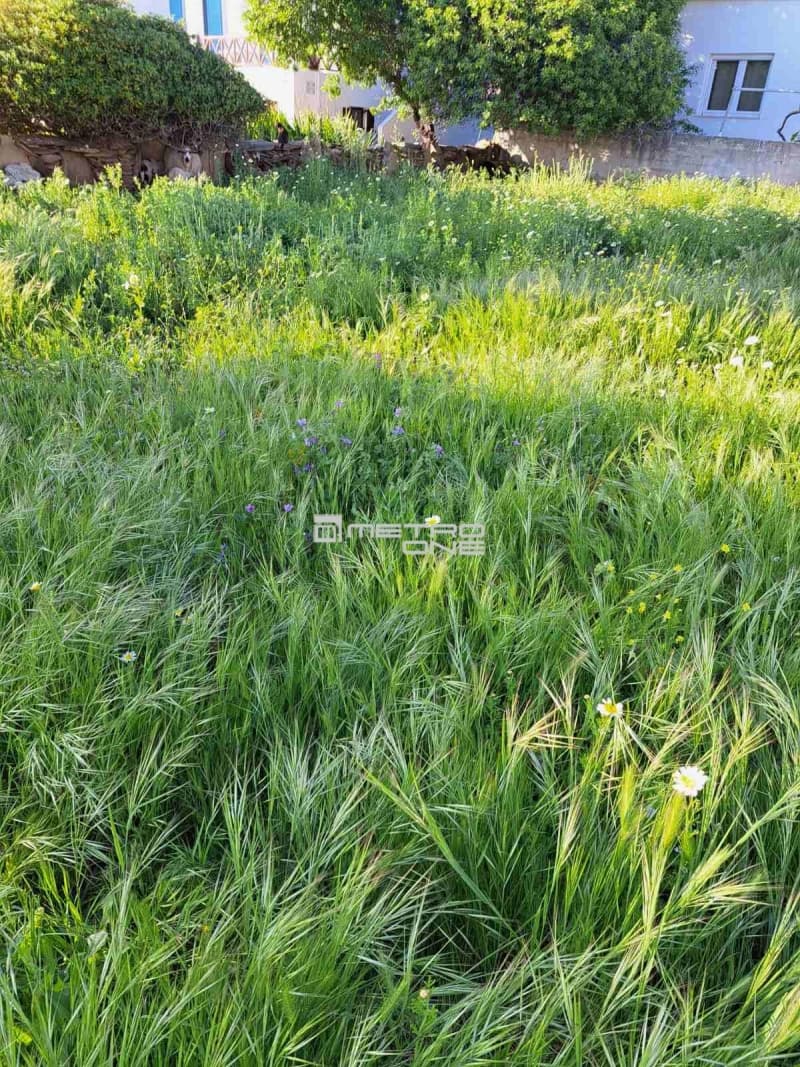 Οικόπεδο στην Γαύριο, Άνδρος — Φωτογραφία 9 από 14