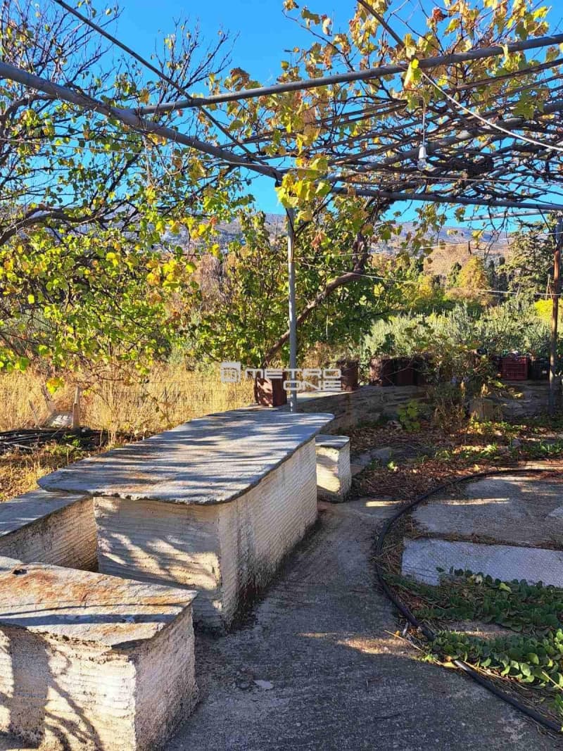 Parcel in Chora, Andros — Photo 10 of 10