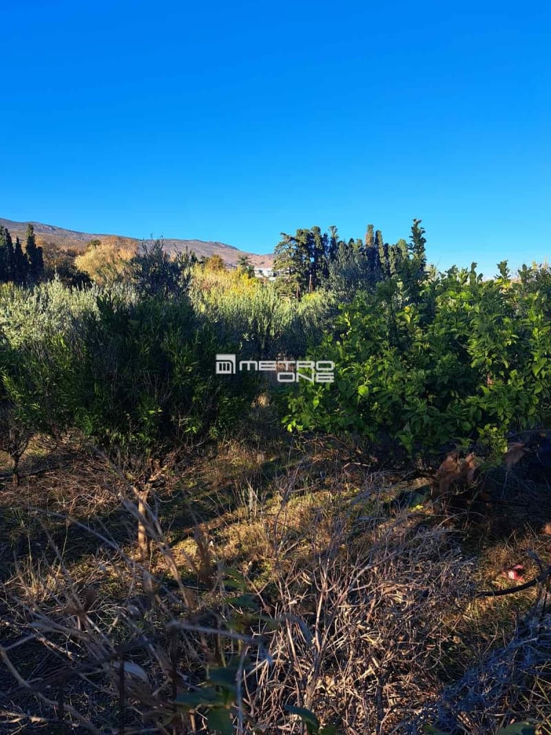 Parcel in Chora, Andros — Photo 1 of 10