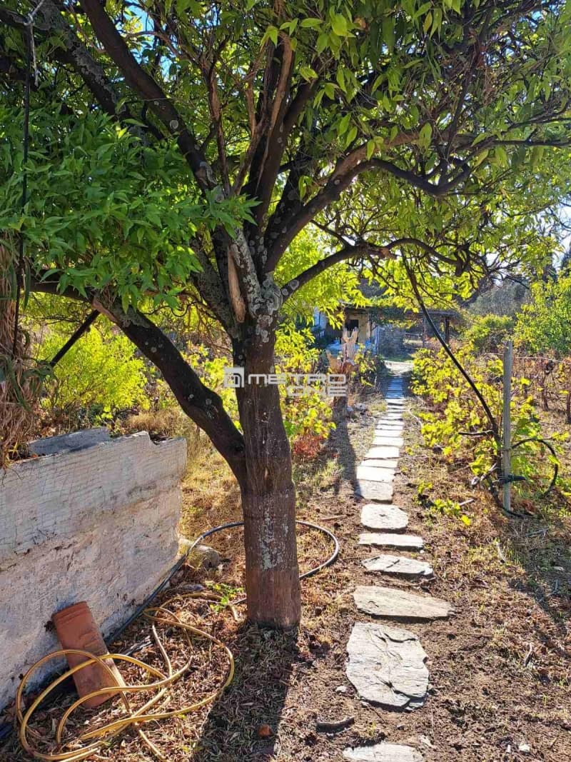 Parcel in Chora, Andros — Photo 5 of 10