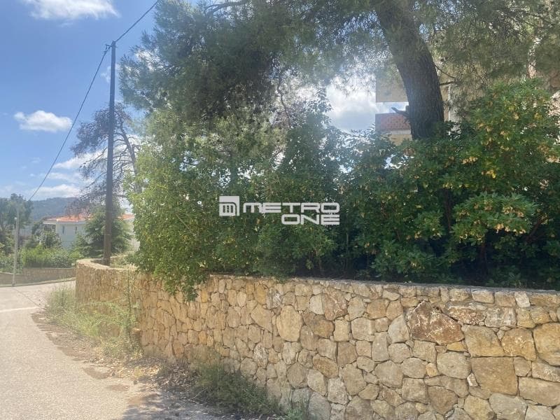 Μονοκατοικία στην Αγία Τριάδα, Αφίδνες — Φωτογραφία 9 από 9