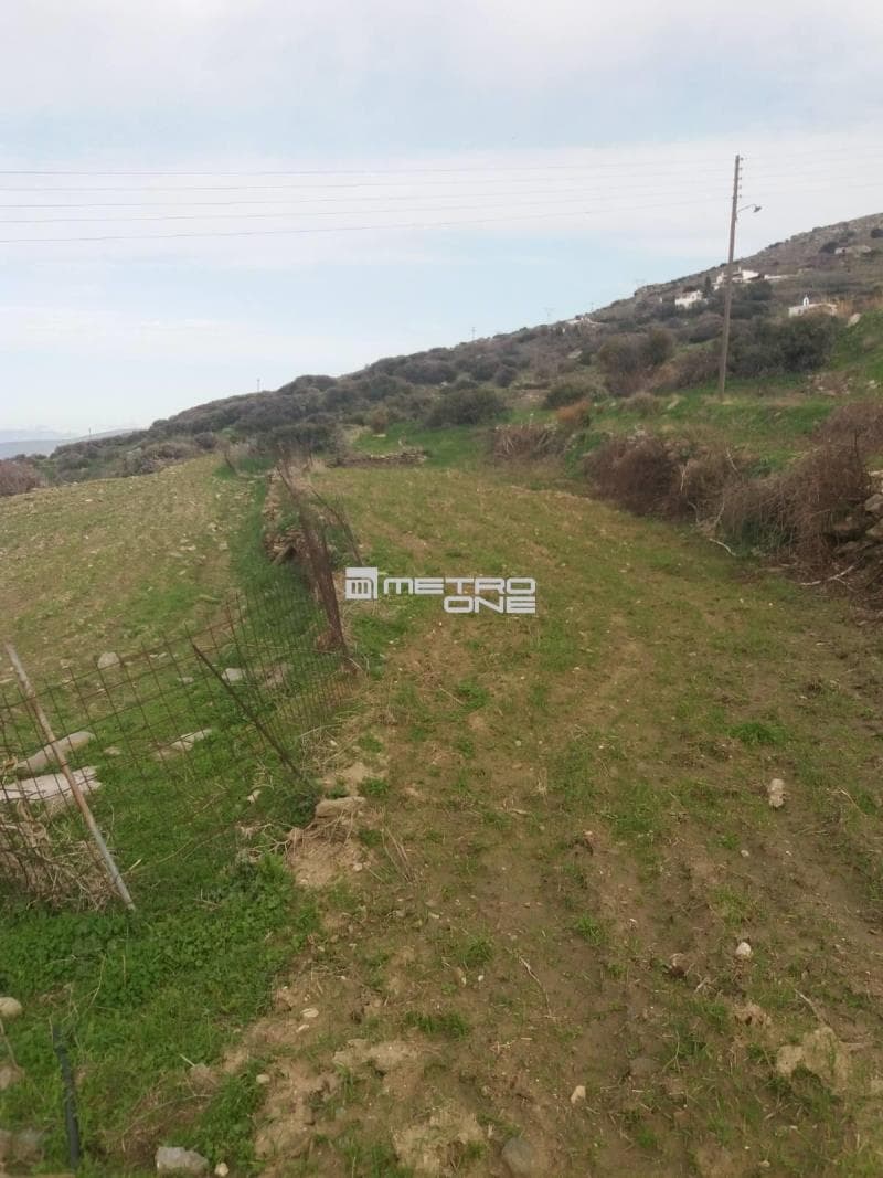 Parcel in Ano Aprovato, Andros — Photo 9 of 9