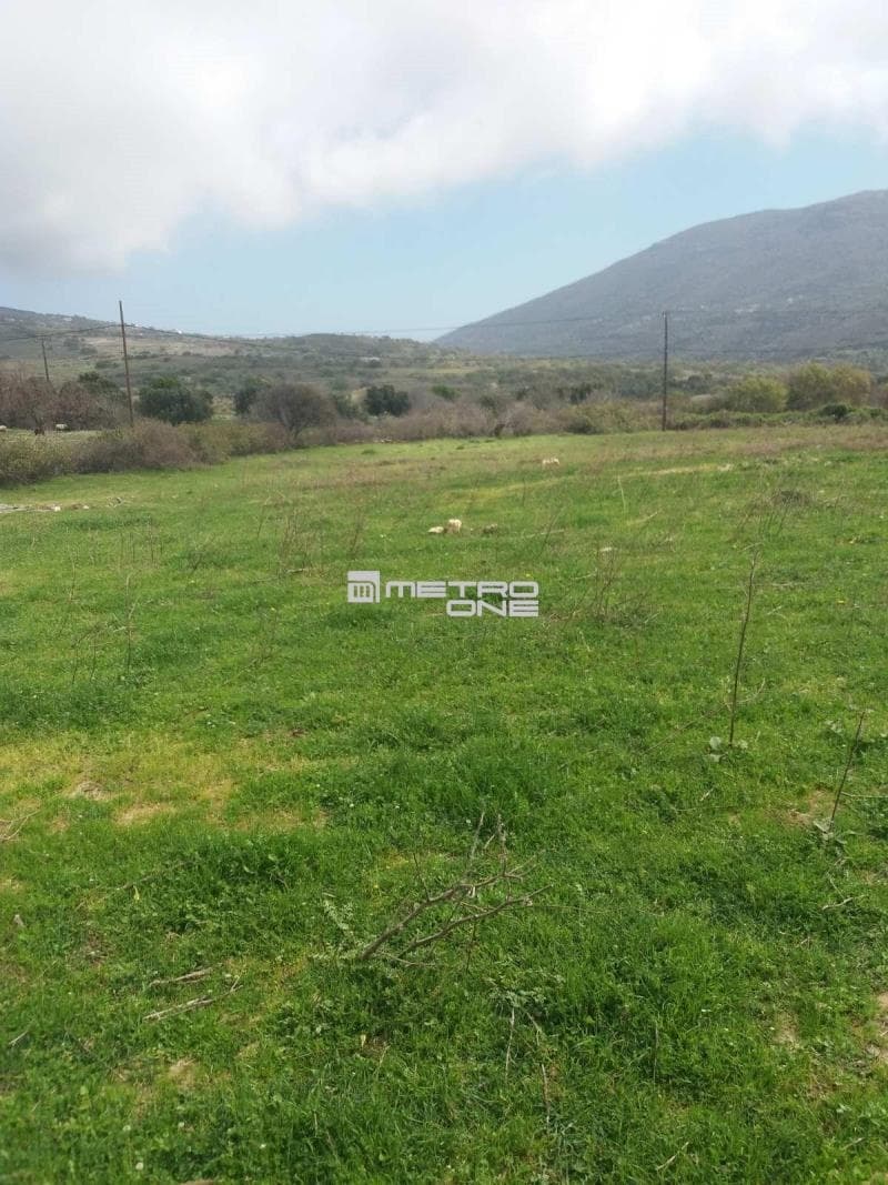 Parcel in Pitrofos, Andros — Photo 4 of 13