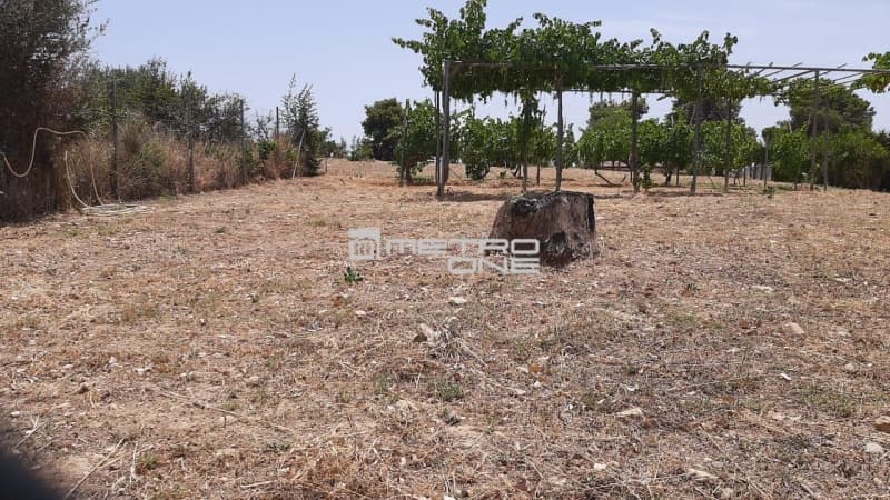 Οικόπεδο στην Κάτω Χαρβάτι, Παλλήνη — Φωτογραφία 1 από 4