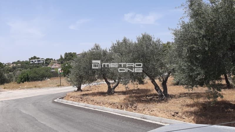 Οικόπεδο στην Κάτω Χαρβάτι, Παλλήνη — Φωτογραφία 3 από 4