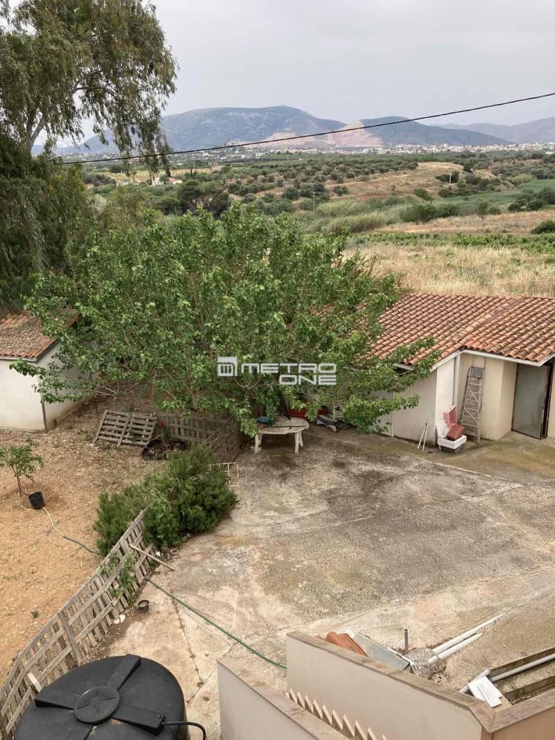 House in Markopoulo, Markopoulo — Photo 13 of 30