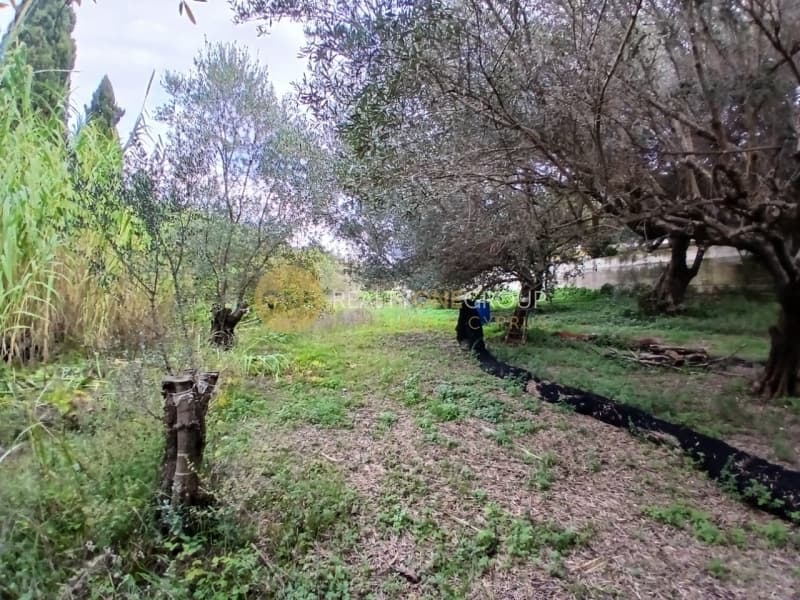 Building Plot in Αgios Georgios, Corfu — Photo 18 of 25
