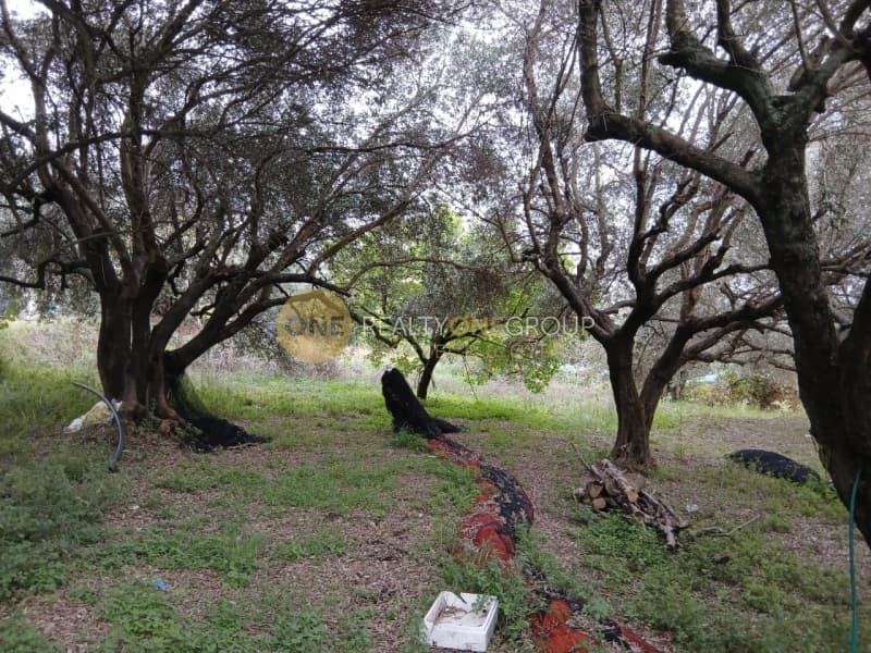 Building Plot in Αgios Georgios, Corfu — Photo 19 of 25