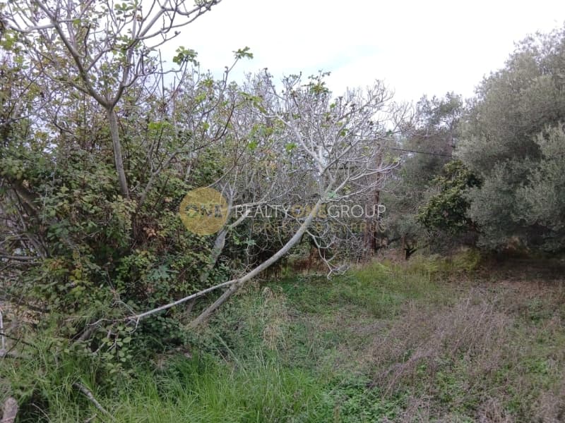 Building Plot in Αgios Georgios, Corfu — Photo 23 of 25