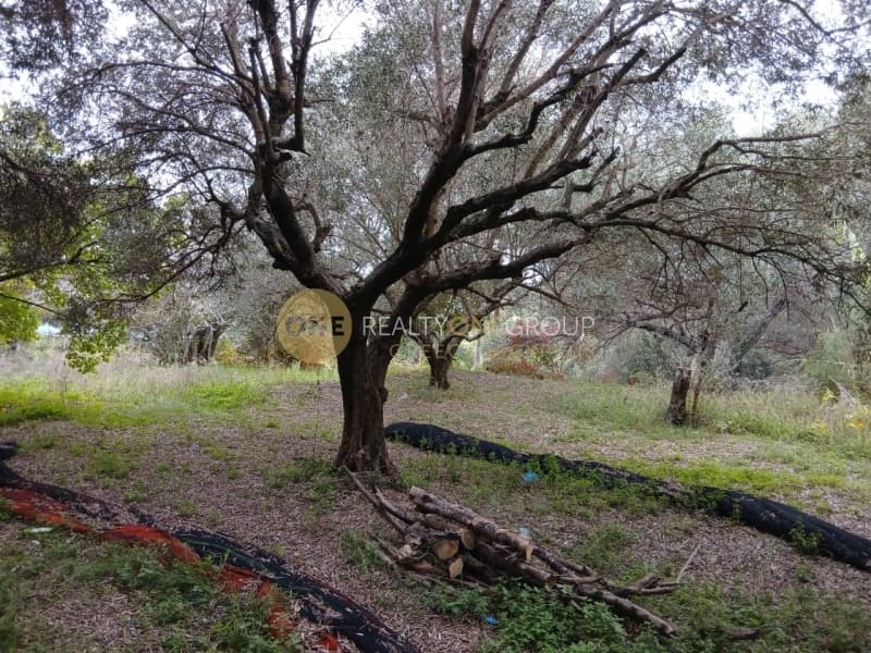 Building Plot in Αgios Georgios, Corfu — Photo 21 of 25