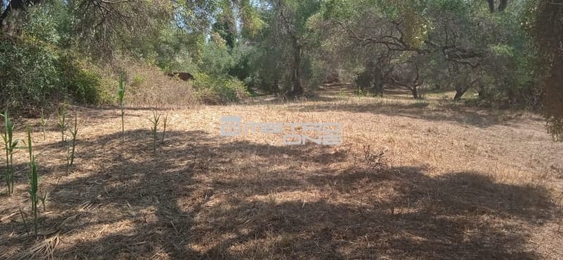 Building Plot in Αgios Georgios, Corfu — Photo 8 of 25