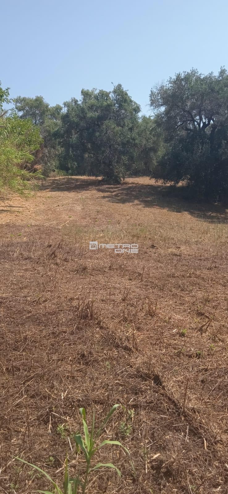 Building Plot in Αgios Georgios, Corfu — Photo 10 of 25