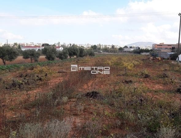 Building Plot in Center, Markopoulo