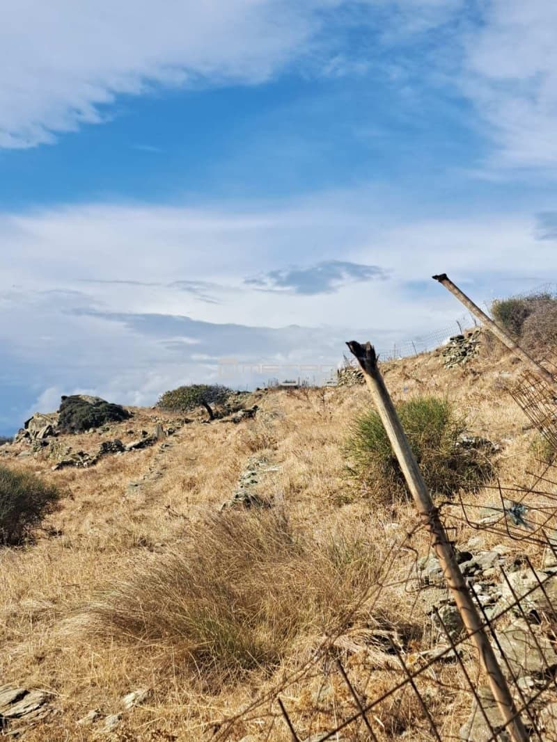 Parcel in Ano Aprovato, Andros — Photo 10 of 15