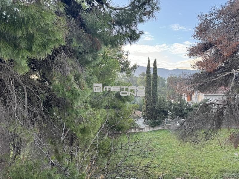 Μονοκατοικία στην Εύξεινος Πόντος, Σταμάτα — Φωτογραφία 12 από 19