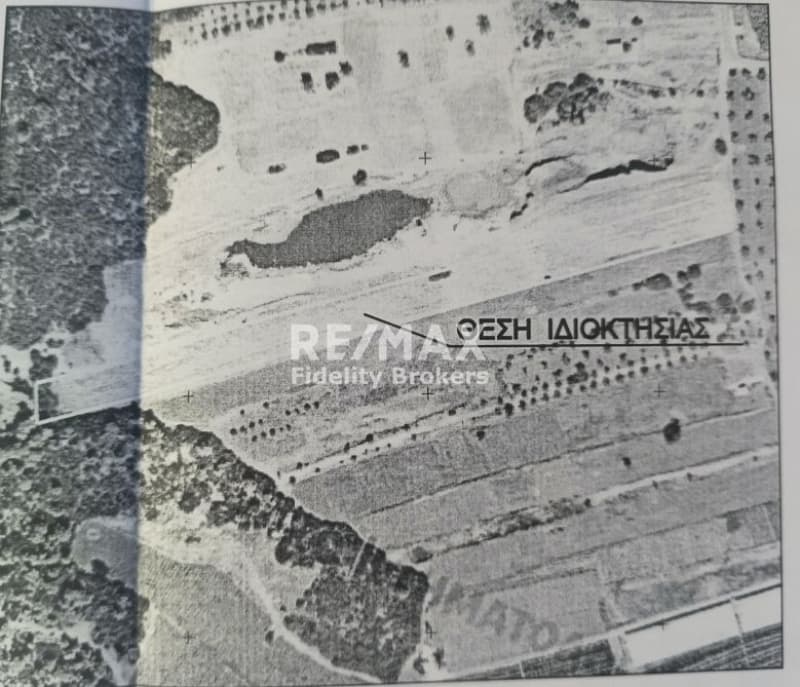 Αγροτεμάχιο στην Άνω Σούλι, Γραμματικό — Φωτογραφία 3 από 3