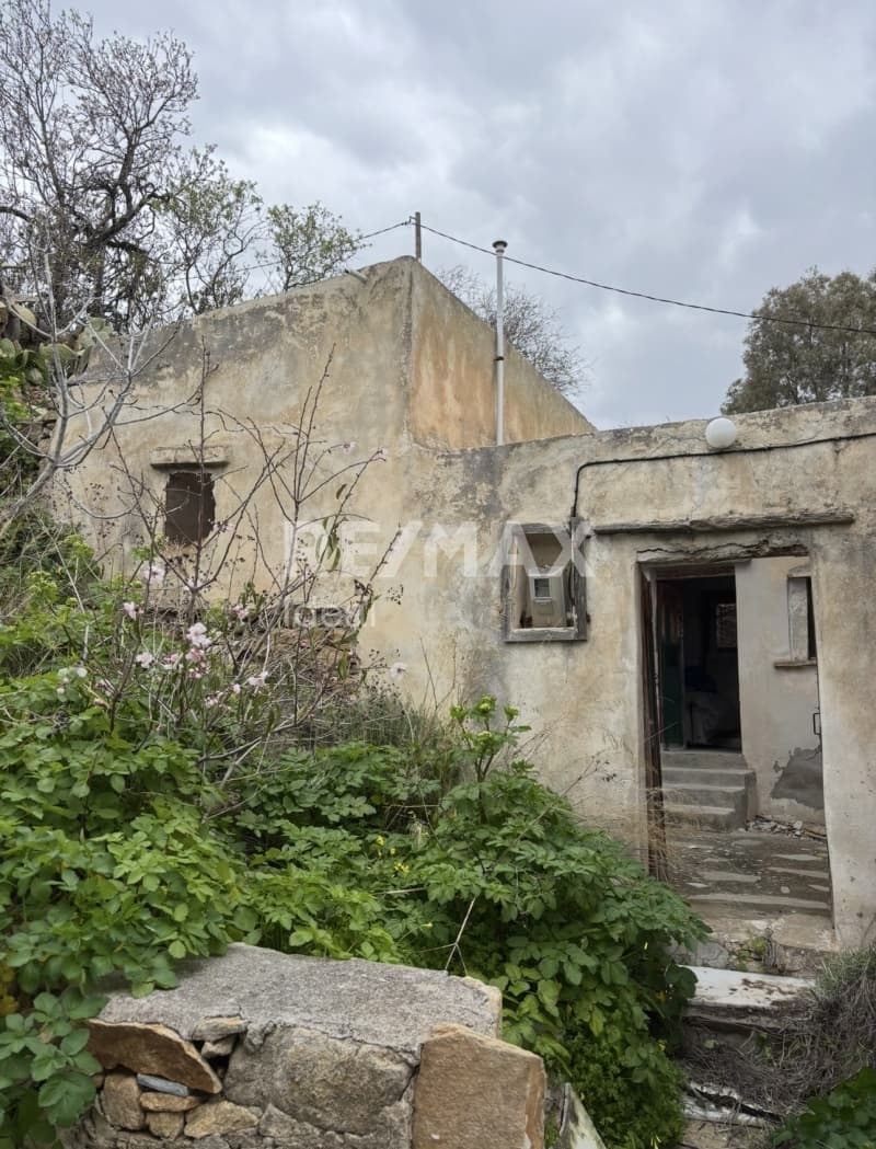 House in Mesi Potamia, Naxos — Photo 1 of 14