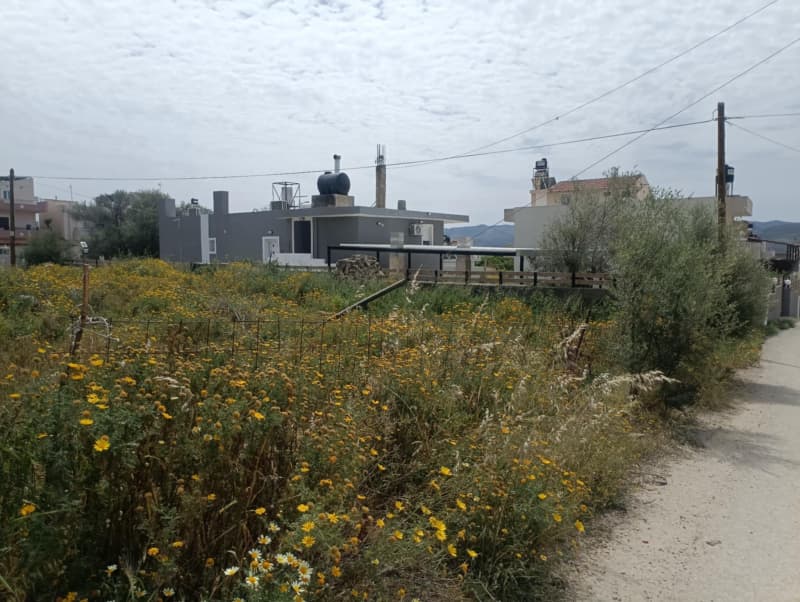 Building Plot in Kappariana, Moires — Photo 3 of 4