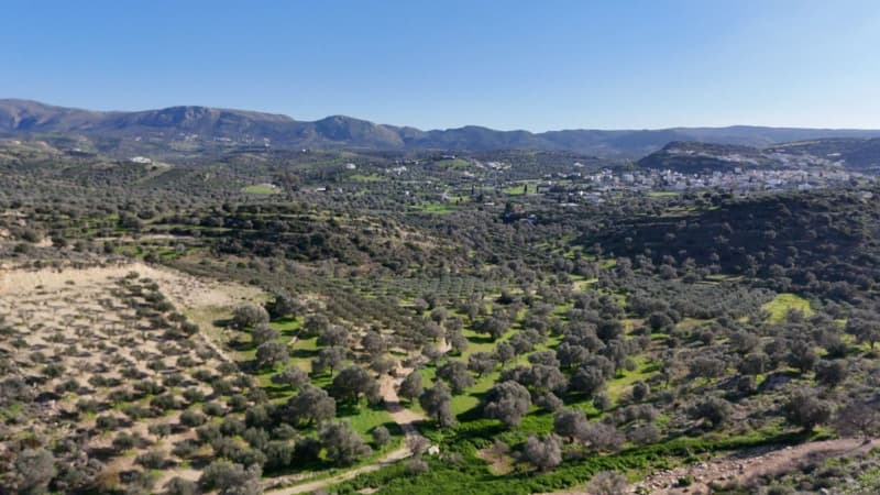 Οικόπεδο στην Καμηλάρι, Τυμπάκι — Φωτογραφία 4 από 13