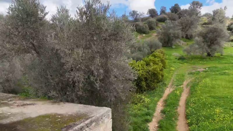 Building Plot in Faneromeni, Moires — Photo 17 of 17
