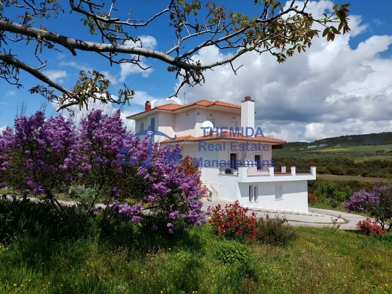 House in Agios Antonios, Vasilika — Photo 16 of 16
