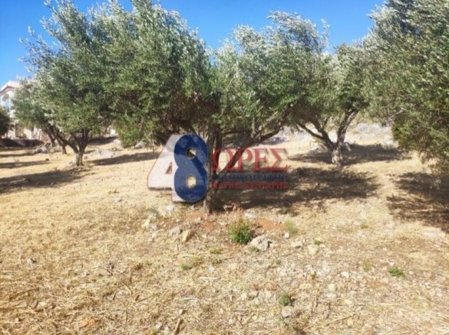 Οικόπεδο στην Πόλη Χίου, Χίος — Φωτογραφία 9 από 13