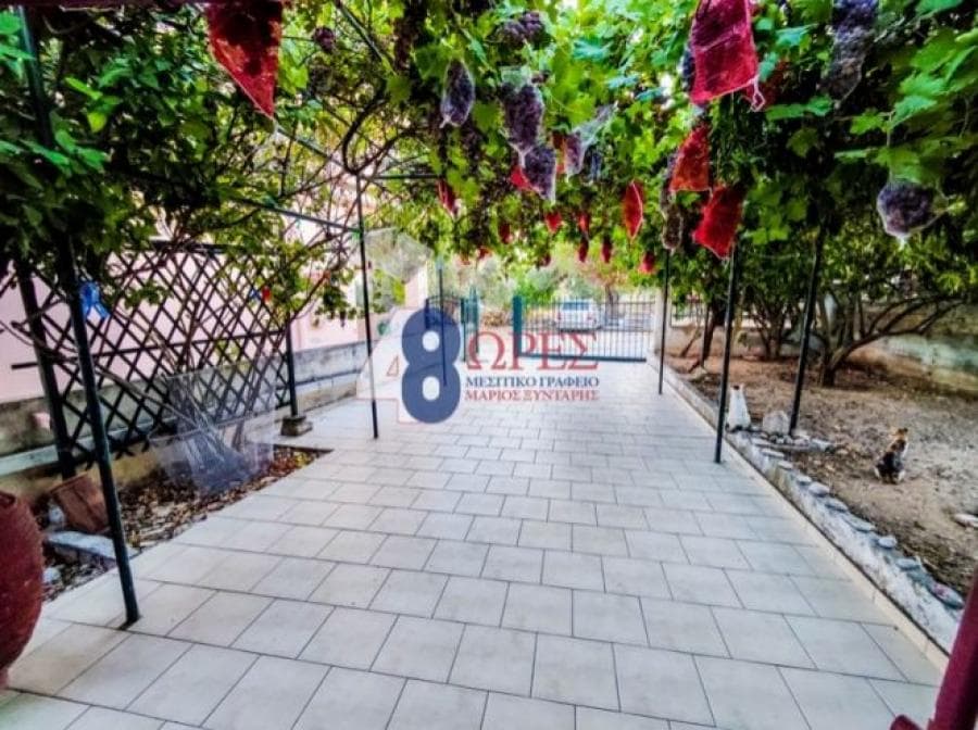 House in Ionia, Chios — Photo 9 of 23