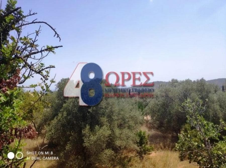 Building Plot in Chios town, Chios — Photo 24 of 25