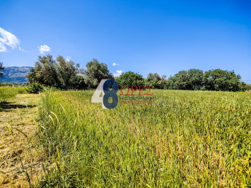 Building Plot in Kampochoria, Chios — Photo 7 of 14
