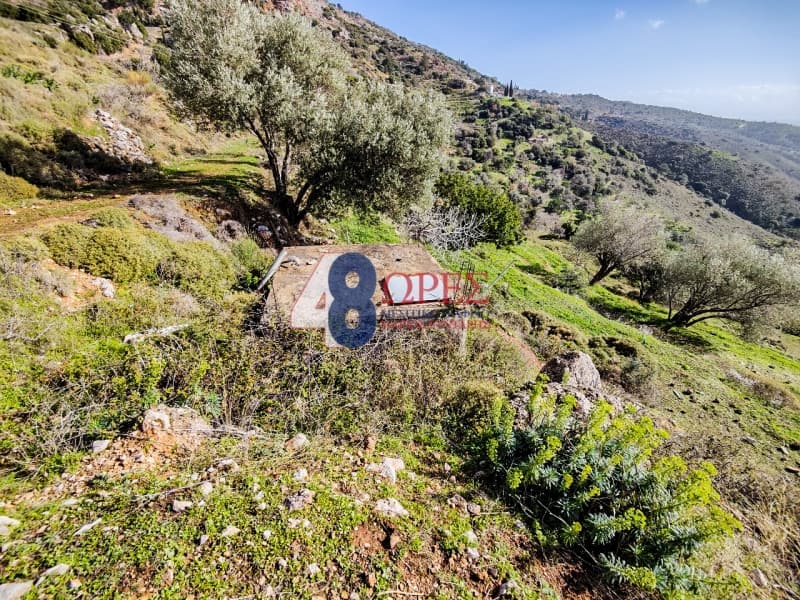 Building Plot in Omiroupoli, Chios — Photo 3 of 24