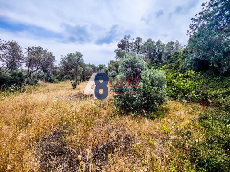 Building Plot in Ionia, Chios — Photo 7 of 10