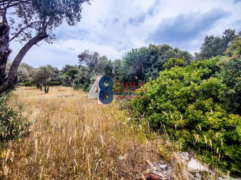 Building Plot in Ionia, Chios — Photo 5 of 10