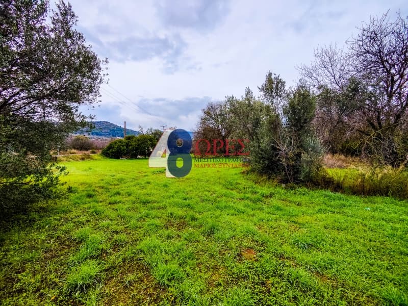 Building Plot in Agios Minas, Chios — Photo 3 of 23