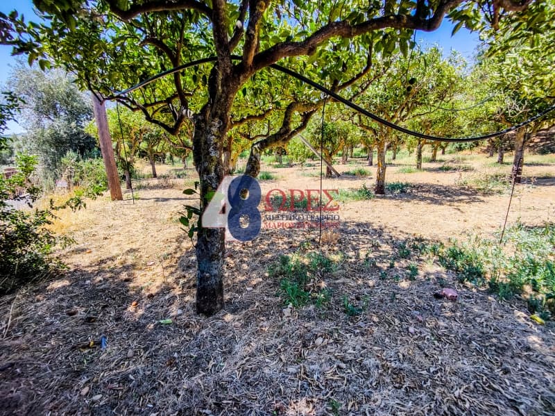 Building Plot in Agios Minas, Chios — Photo 3 of 25