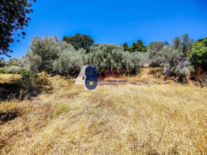 Building Plot in Agios Minas, Chios — Photo 4 of 25