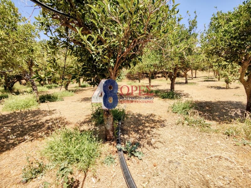 Building Plot in Agios Minas, Chios — Photo 23 of 25