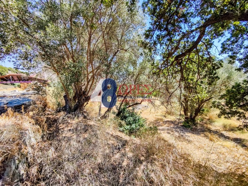 Building Plot in Agios Minas, Chios — Photo 11 of 25