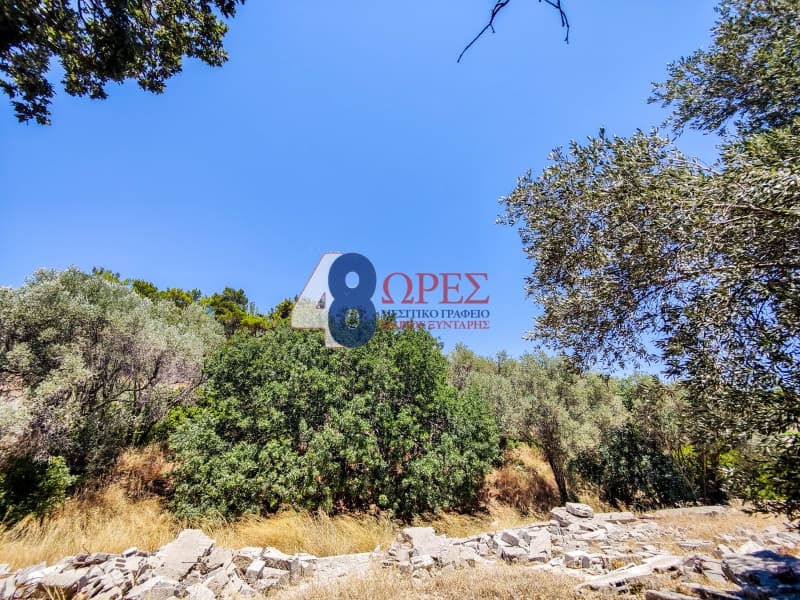 Building Plot in Agios Minas, Chios — Photo 9 of 25