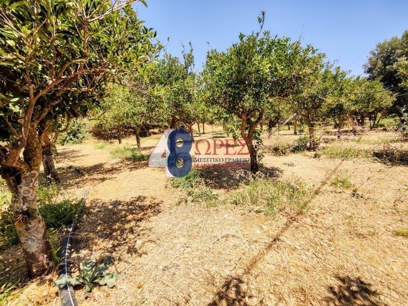 Building Plot in Agios Minas, Chios — Photo 24 of 25