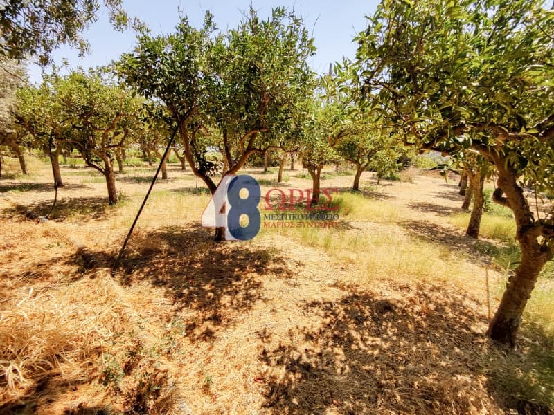 Building Plot in Agios Minas, Chios — Photo 20 of 25