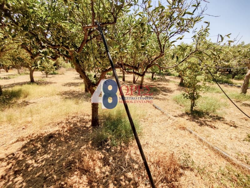 Building Plot in Agios Minas, Chios — Photo 19 of 25
