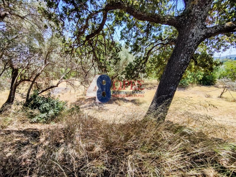 Building Plot in Agios Minas, Chios — Photo 10 of 25