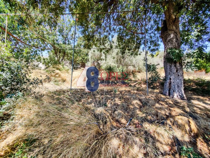 Building Plot in Agios Minas, Chios — Photo 18 of 25