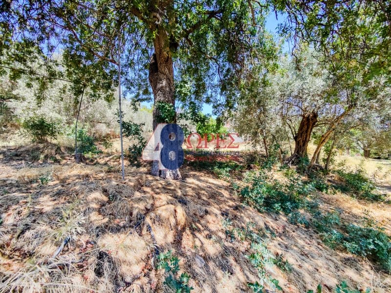 Building Plot in Agios Minas, Chios — Photo 17 of 25