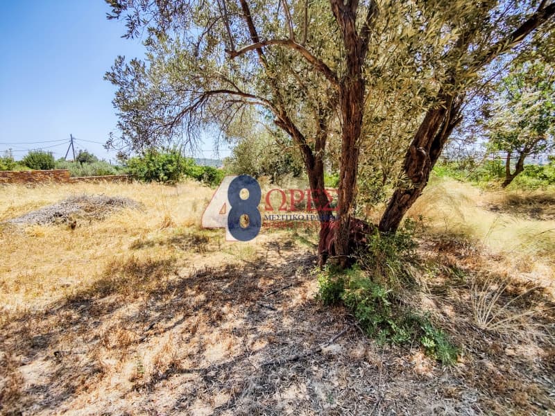 Building Plot in Agios Minas, Chios — Photo 16 of 25